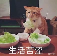 怎样才能戒掉烟瘾