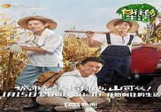 向往的生活之独宠妻子