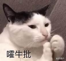 语c车戏受怎么写