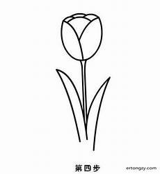 如何画郁金香花