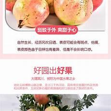 觅阳果是什么样子
